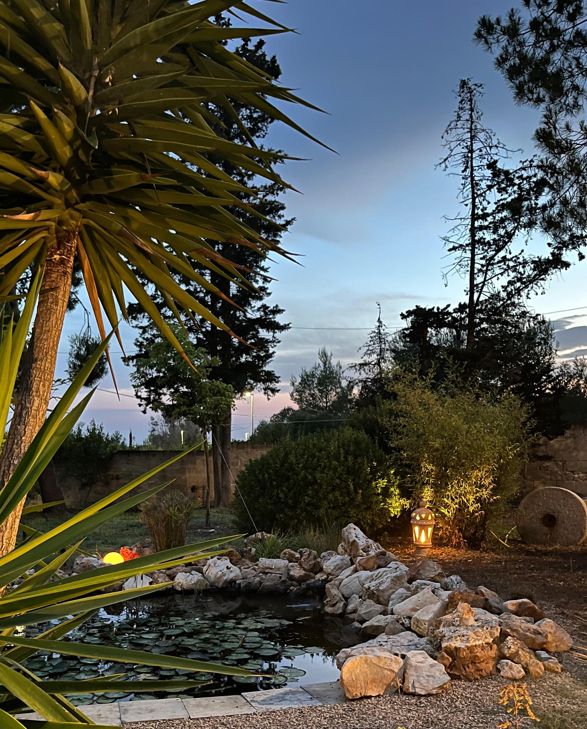 landscape architecture salento, puglia, Mediterranean, natural pond design, studio183 architecture